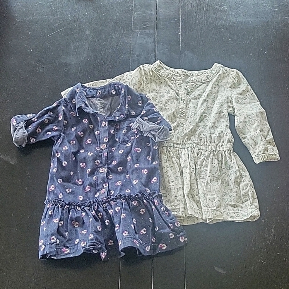 Carter's baby girl drop waist shirtdresses